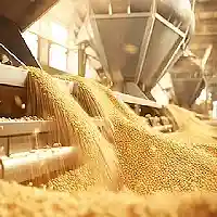 Food Processing Industries
